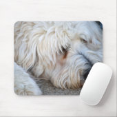 Tapis De Souris Arrière - plan Goldendoodle (Avec souris)