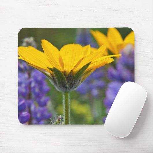 Tapis De Souris Arrowley Root and Lupine in Spring Bloom (Avec souris)