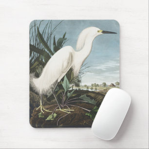 Tapis De Souris Art ancien de l'Aigrette neigeuse d'Audubon
