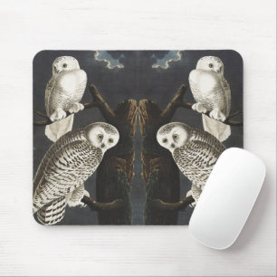 Tapis De Souris Art ancien d'oiseau de nuit, Chouette blanche d'Au