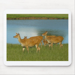 Tapis De Souris Art d'amusement de destin d'amour de paix de natur