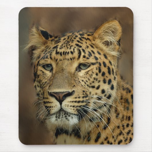 Tapis De Souris art léopard (Devant)