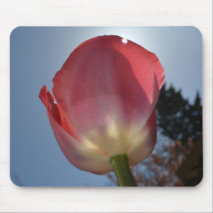 Tapis De Souris art photo de tulipe rose de printemps