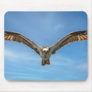 Tapis De Souris Art photographique de la faune en vol de l'aigle d