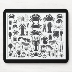 Tapis De Souris Arthropoda : araignées, crabes, motif des homards