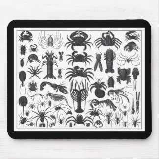 Tapis De Souris Arthropoda : araignées, crabes, motif des homards