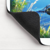 Tapis De Souris Articles uniques d'alligator (Coin)