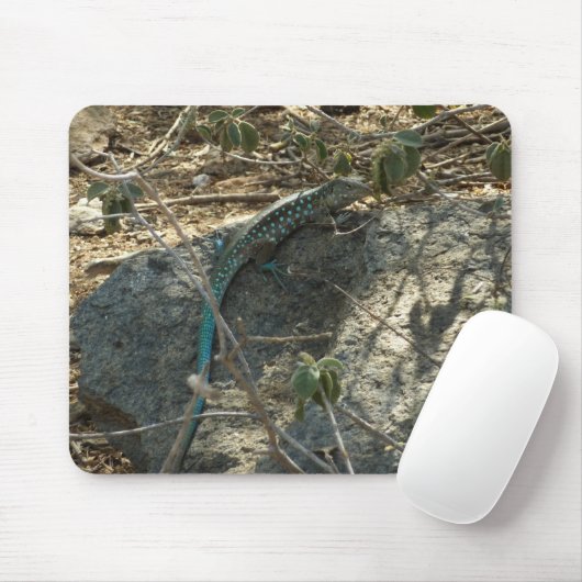 Tapis De Souris Aruba Whiptail Lizard Photographie d'animaux tropi (Avec souris)