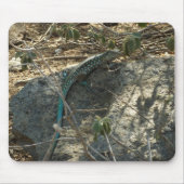 Tapis De Souris Aruba Whiptail Lizard Photographie d'animaux tropi (Devant)