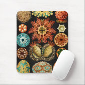 Tapis De Souris Ascidiae, Seescheiden Marine Life par Ernst Haecke (Avec souris)