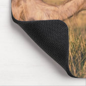 Tapis De Souris Asie, Mongolie, Désert de Gobi, Grand Gobi (Coin)