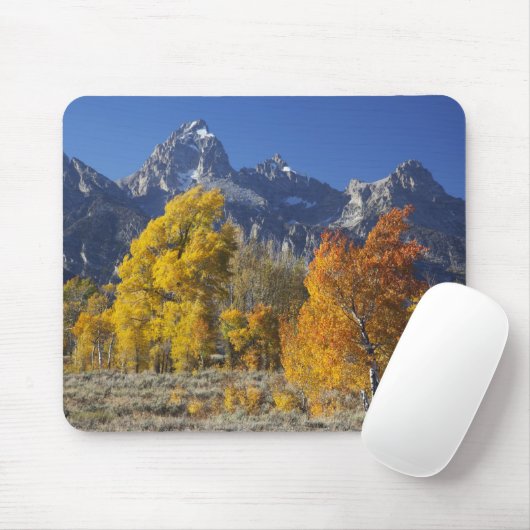 Tapis De Souris Aspen trees with the Teton mountain (Avec souris)