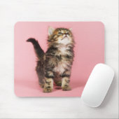 Tapis De Souris Assez dans le chaton rose (Avec souris)