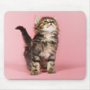 Tapis De Souris Assez dans le chaton rose