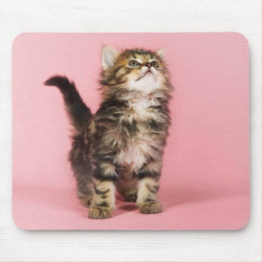 Tapis De Souris Assez dans le chaton rose (Devant)