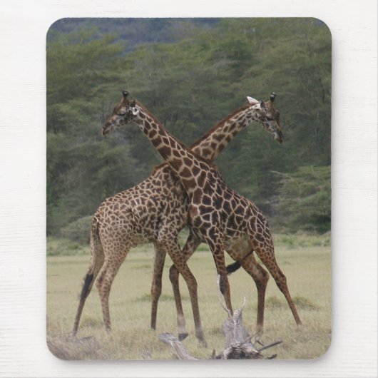Tapis De Souris Associés parfaits - Mousepad (Devant)