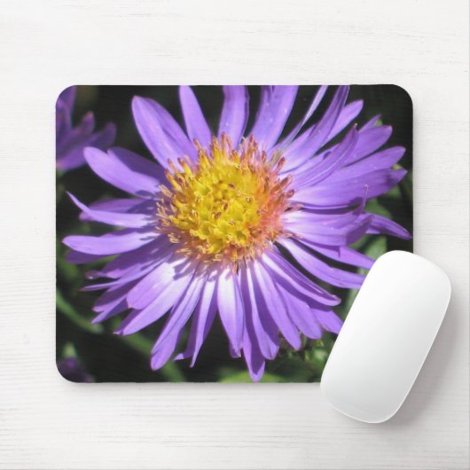 Tapis De Souris Aster Mousepad (Avec souris)