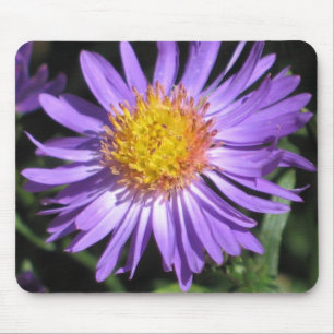 Tapis De Souris Aster Mousepad