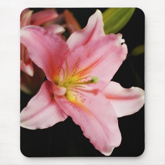 Tapis De Souris "Astronome" Mousepads (Devant)