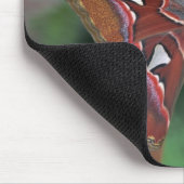 Tapis De Souris Atlas Moth (Coin)