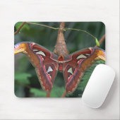 Tapis De Souris Atlas Moth (Avec souris)