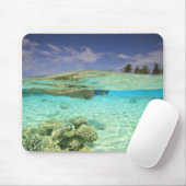 Tapis De Souris Atoll de Huvadhoo Sud, Maldives Sud, Inde (Avec souris)