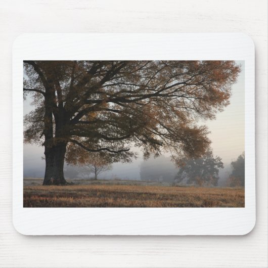 Tapis De Souris Atteindre (Devant)