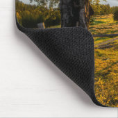 Tapis De Souris Aube brumeuse dans une forêt (Coin)
