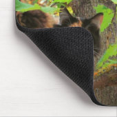 Tapis De Souris Aucun ne doit passer Cat contre Écureuil (Coin)