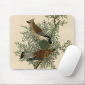 Tapis De Souris Audubon Cèdre cire oiseau (Avec souris)