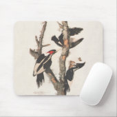 Tapis De Souris Audubon Ivory-Billed (Avec souris)