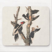 Tapis De Souris Audubon Ivory-Billed (Devant)