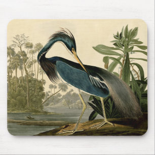 Tapis De Souris Audubon Louisiana Heron Birds America Art