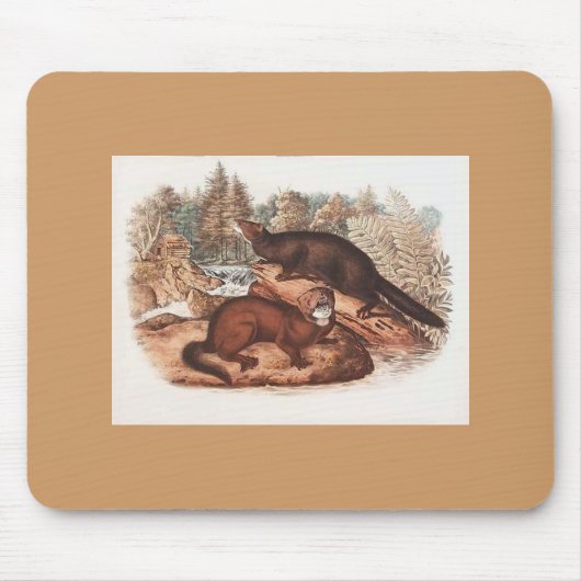 Tapis De Souris Audubon - Mince (Devant)