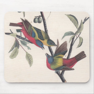 Tapis De Souris Audubon Peint Bunting Bird Wildlife
