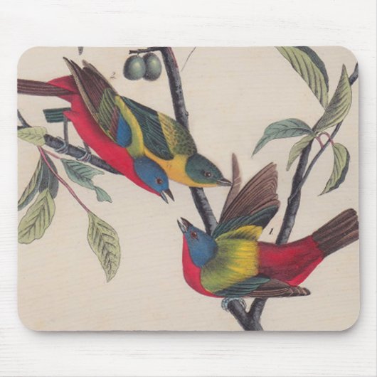 Tapis De Souris Audubon Peint Bunting Bird Wildlife (Devant)