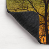 Tapis De Souris Aurora Borealis & Cottonwood Tree (Coin)