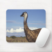Tapis De Souris Australie, Australie occidentale. Emu (Dromaius) (Avec souris)
