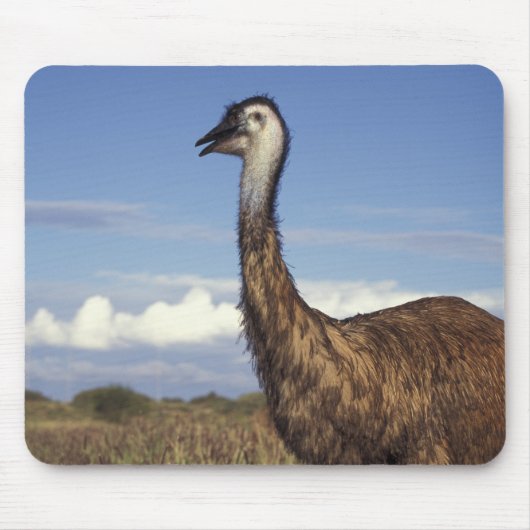 Tapis De Souris Australie, Australie occidentale. Emu (Dromaius) (Devant)