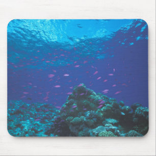Tapis De Souris Australie, Grande Barrière de corail. Tourbillonne