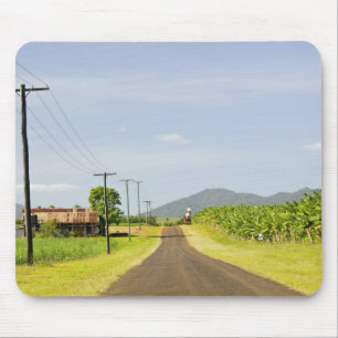 Tapis De Souris Australie, Queensland, côte nord, Babinda.