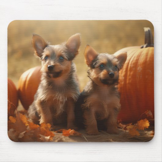 Tapis De Souris Australien Terrier Chiot Automne Citrouille de pla (Devant)