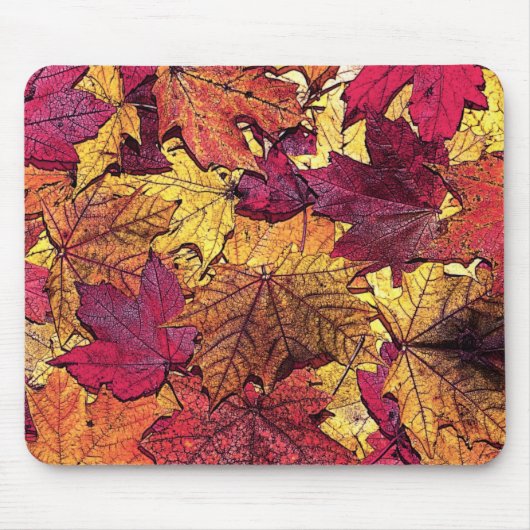 TAPIS DE SOURIS AUTOMNE (Devant)
