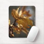 Tapis De Souris Automne (Avec souris)