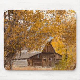 Tapis De Souris Automne à Mormon Row