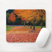 Tapis De Souris Automne dans le parc (Avec souris)