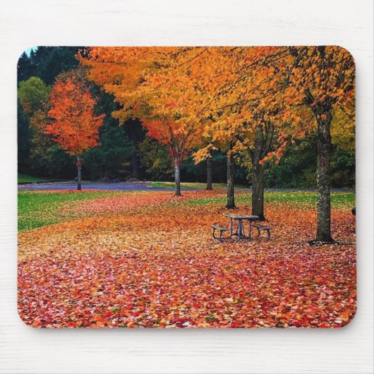 Tapis De Souris Automne dans le parc (Devant)