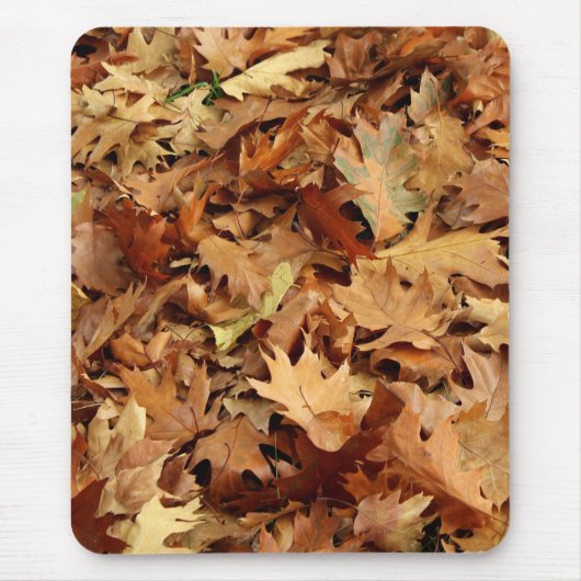 Tapis De Souris automne, feuille sec (Devant)
