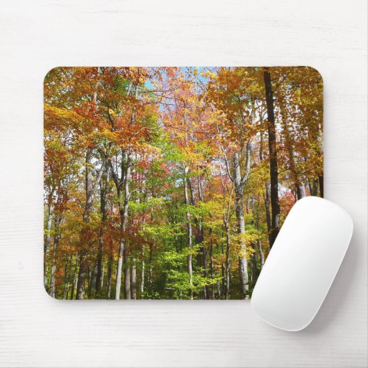 Tapis De Souris Automne Forêt II Automne Paysage Photographie (Avec souris)