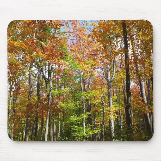 Tapis De Souris Automne Forêt II Automne Paysage Photographie (Devant)